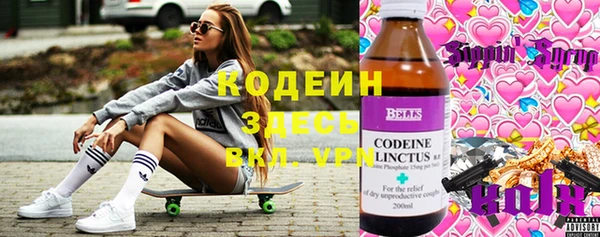гашик Алзамай