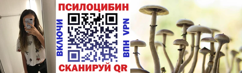 Псилоцибиновые грибы Magic Shrooms  где купить наркотик  Каневская 